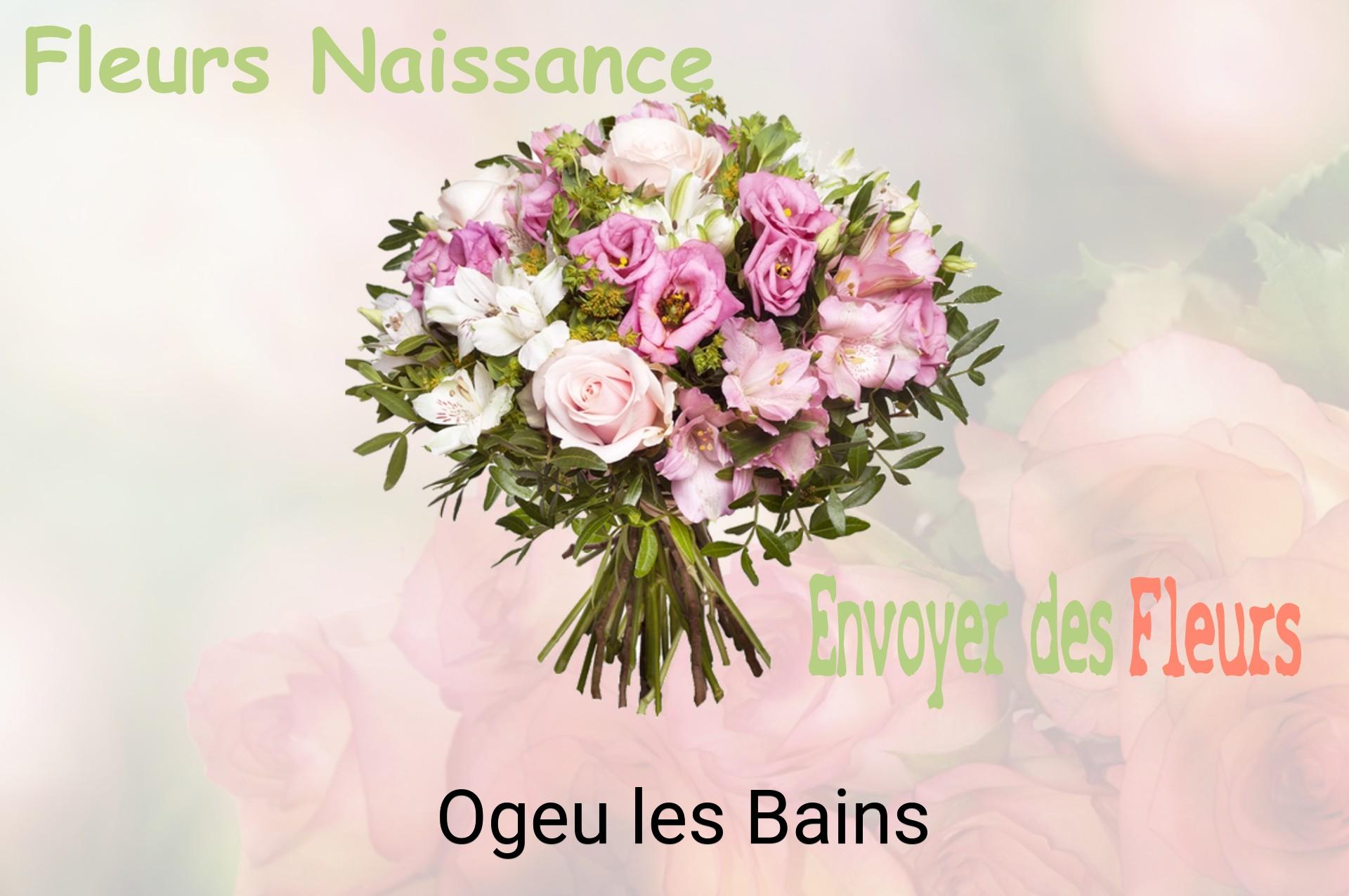 Bouquet de fleurs de naissance livré à Ogeu-les-Bains